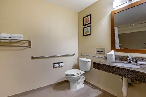 Comfort Inn & Suites Ponca City near Marland Mansion - image 10
