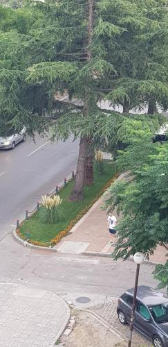Apartman na najboljoj lokaciji , nedaleko od plaze