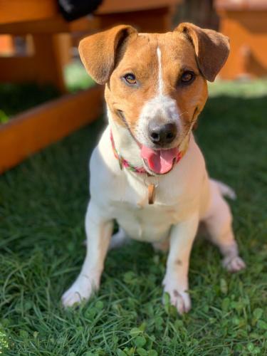 Casa di Franz Casa di Franz