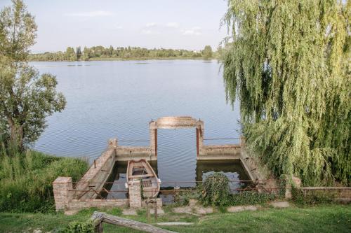 Le Ali Del Frassino - image 3