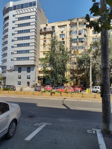 Ariana Apartment by EasyBucharest, Bucharest