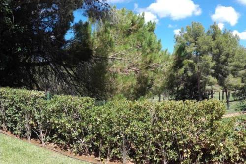  Apartamento en La Sella Golf, Carrascal in Muntanya la Sella
