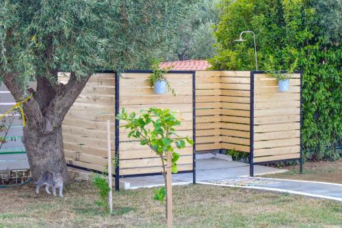 Villa Complex Shemesh