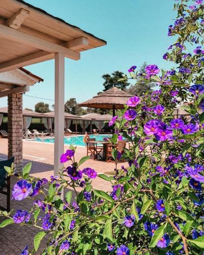  Hotel Kalamitsi Apartments in Preveza