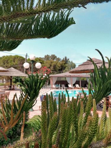  Hotel Kalamitsi Apartments in Preveza