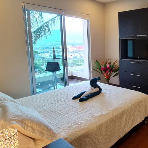 Cozy private Apartment, Mirador Escazú -Great view-