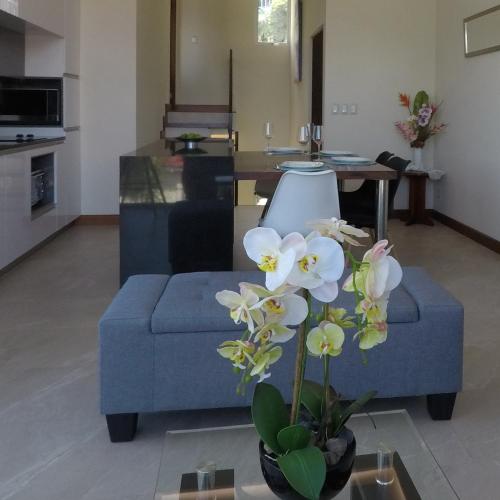 Cozy private Apartment, Mirador Escazú -Great view-