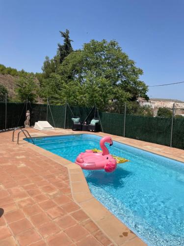  Air Conditioned Casa Tropicana Entire Villa or Individual Apartments in Murcia