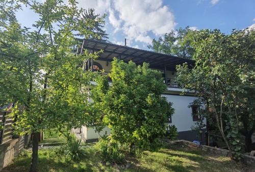 Viesnīcas āriene, vila zia in Korbeni