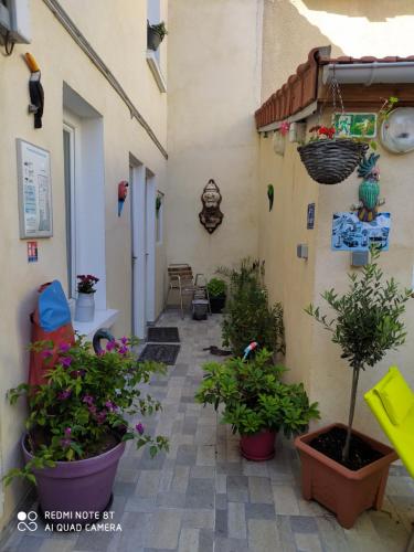 Les Coquelicots – Montrouge, CA