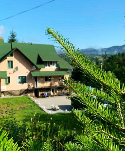 Зоряні Карпати, Slavske (fotografie 4)