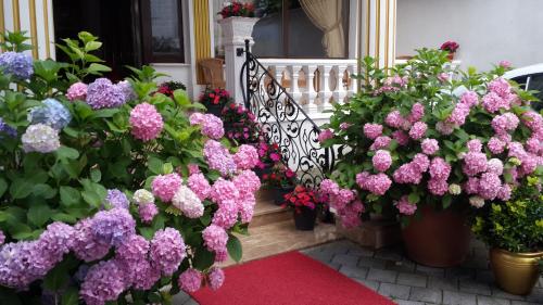 Termal Elit Hotel - image 10