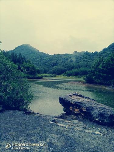 Ying Xin Ge