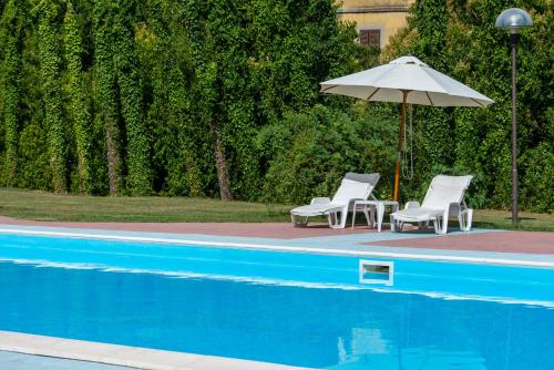 Hotel Villa dei Pini - image 12