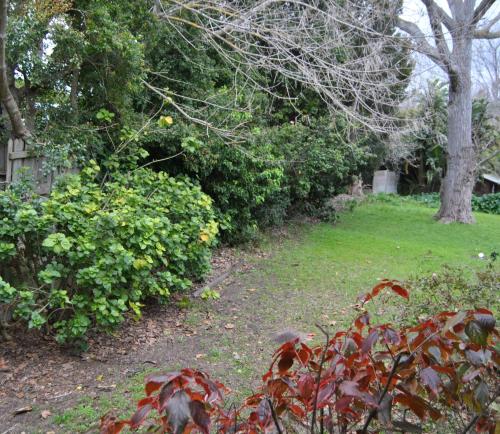Bloom Guest House – Constantia, TX