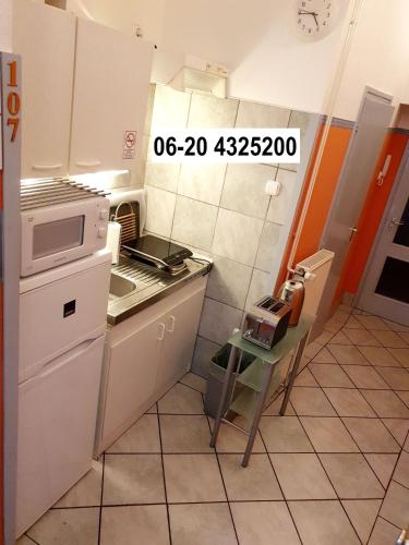 Apartment in the center of Budapest -free garage parking, Budapešť (fotografie 9)