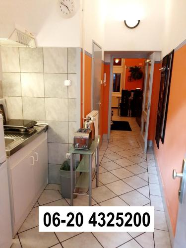 Apartment in the center of Budapest -free garage parking, Budapešť (fotografie 8)