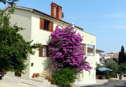  Mata Apartments, Pension in Premantura