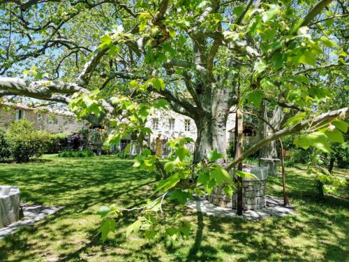 1560- Domaine Des Cinq Jardins- A Magical and Authentic Mansion