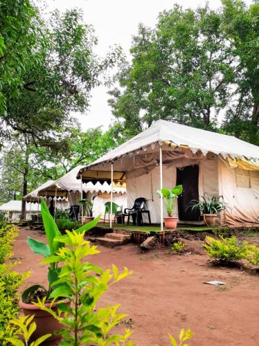 Adventure Camping Pachmarhi