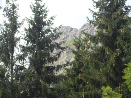  ANTICO BORGO MONTANO in Santo Stefano dʼAveto