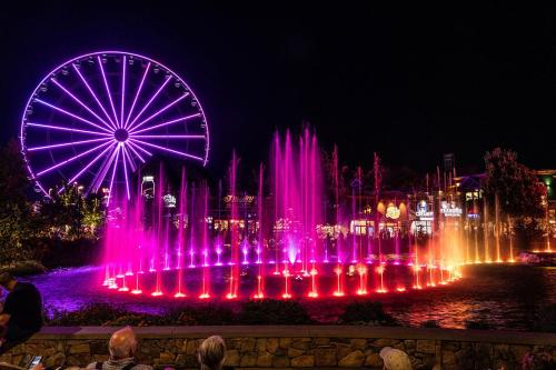 Splashin in the Smokies - image 4