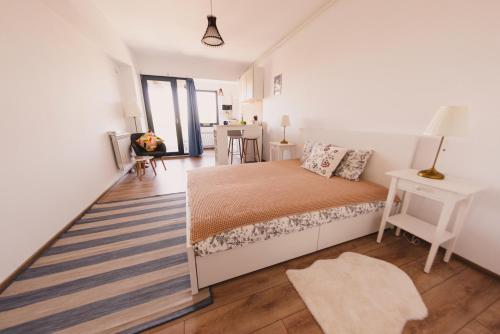 Retro Studio by the SEA, Eforie Nord (fotografie 2)