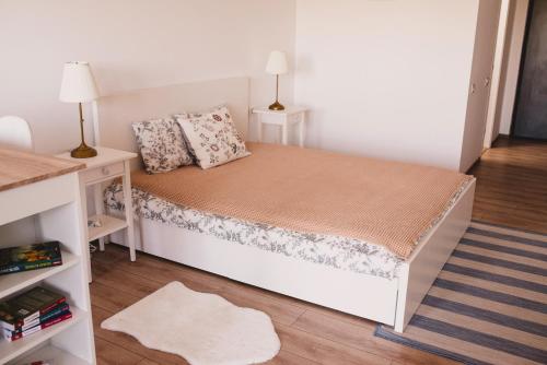 Retro Studio by the SEA, Eforie Nord (fotografie 5)