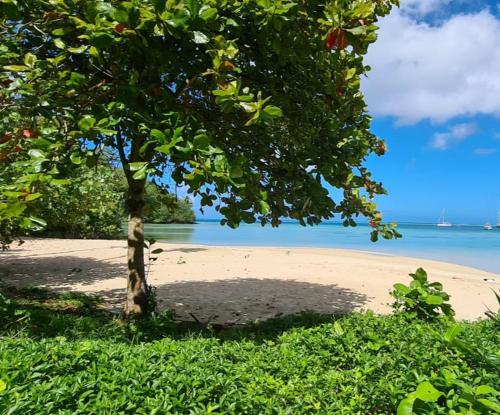 HUAHINE Manta Lodge avec 4x4 optionnel in Huahine Island