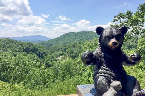 Bear Haven at Hidden Springs Resort