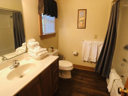Briarstone Lodge Condo 13D - image 9