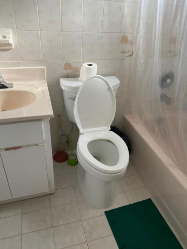 Single Size BOTTOM Bunk Bed - Mixed Shared ROOM Single Size BOTTOM Bunk Bed - Mixed Shared ROOM