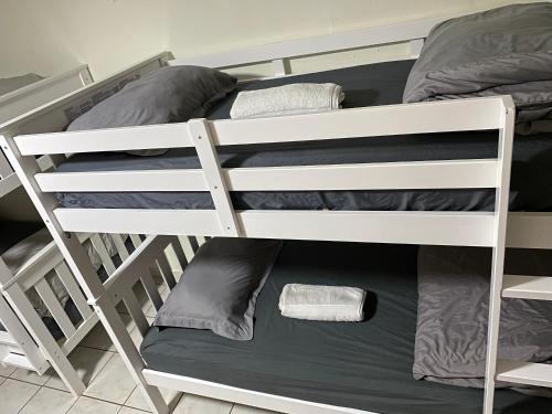 Single Size TOP Bunk Bed - Mixed Shared ROOM in Miami, USA