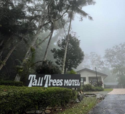 Tall Trees Motel Mountain Retreat Gold Coast