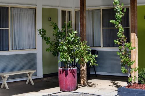 Létesítmények, Memphis Motor Inn in Parkes