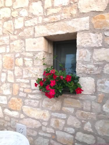 Bejárat, Luxury Apartments San Zeno - Adults Only in Colognola Ai Colli