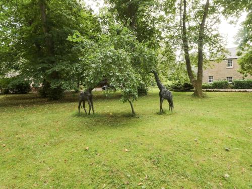 Gardener's Cottage Duns - image 4