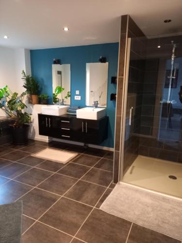 logement indépendant gîte à louer Tour-en-Sologne