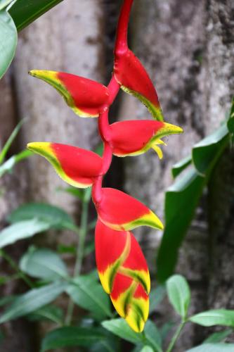 ヴィラ タム セセ