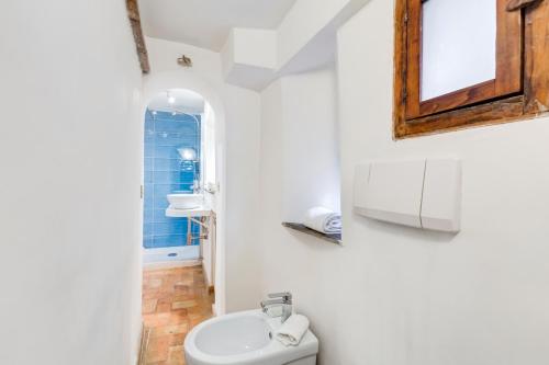 LIVING COLOSSEUM - image 9