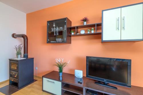 Apartment Vita - image 13