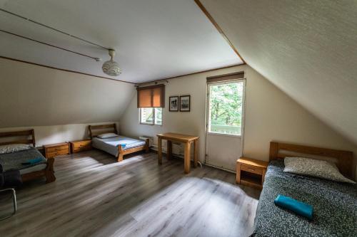 LAKE HOUSE - image 14