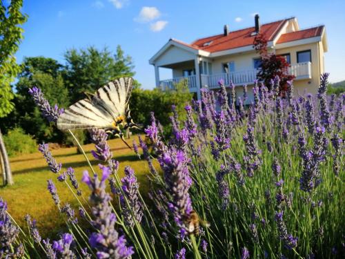 Villa Ivy with perfect privacy, pool, sauna and jacuzzi