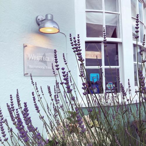 Whitecliff Guest House 2