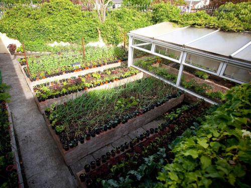 Adare Guesthouse - image 11