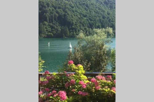 Casa a schiera fronte lago con giardino - Barcis