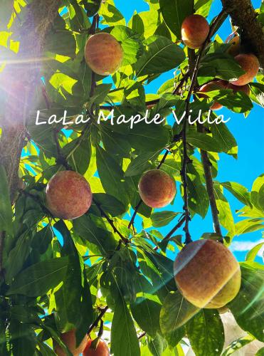 Lala Maple Villa