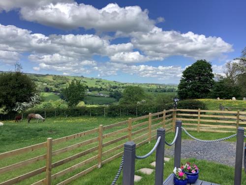 The Shepherd s Hut at Hafoty Boeth