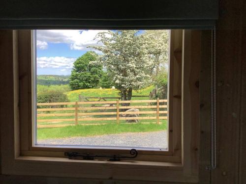 The Shepherd s Hut at Hafoty Boeth