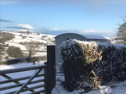 The Shepherd s Hut at Hafoty Boeth